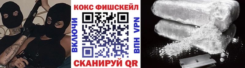 Купить закладки  Сясьстрой  COCAIN FishScale 